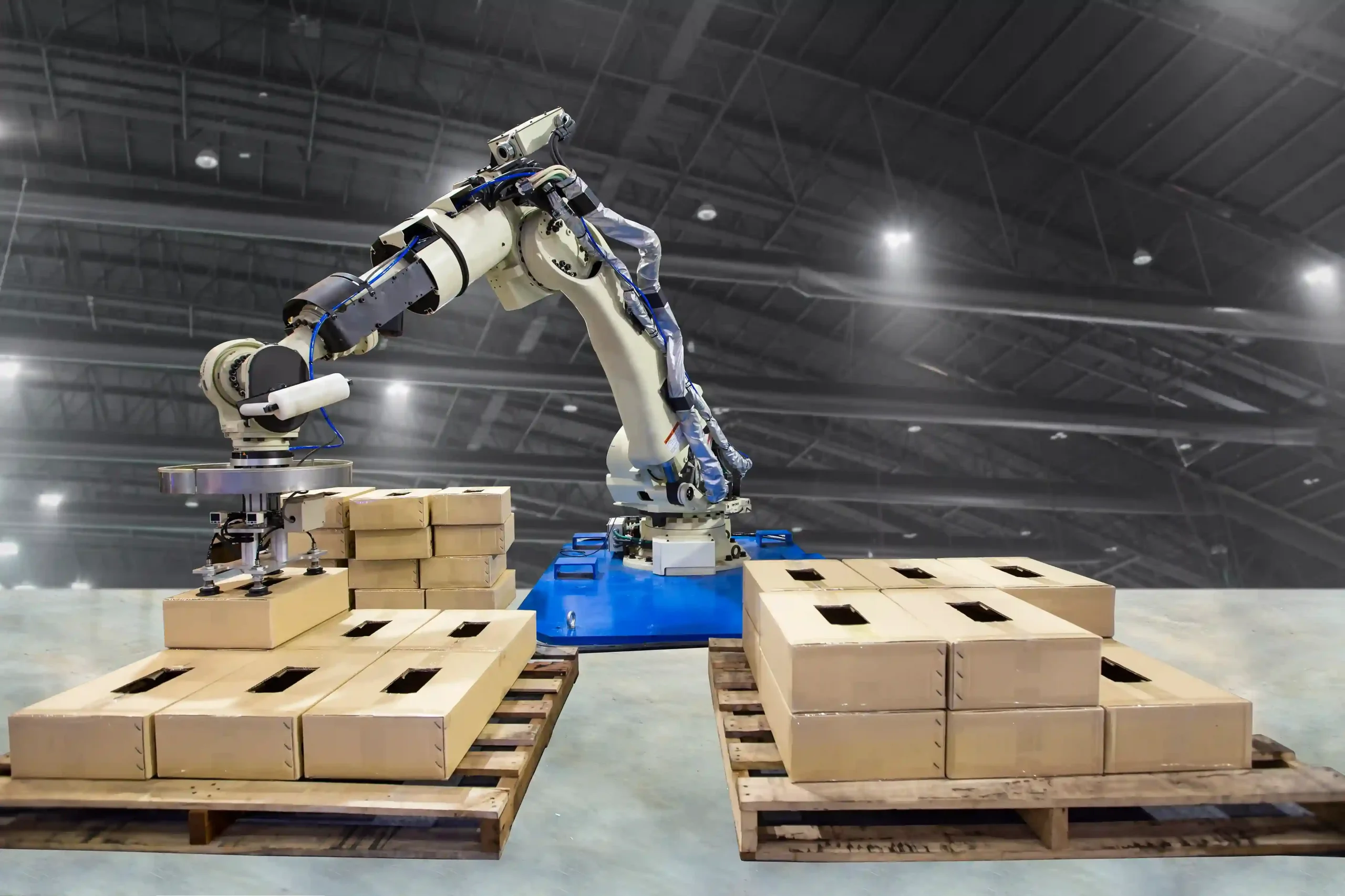 Palletizing Robot